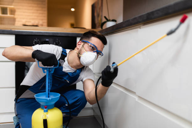 Best Flea Control Services  in Elk Point, SD