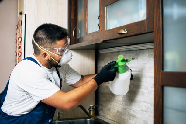 Best Emergency Pest Control  in Elk Point, SD