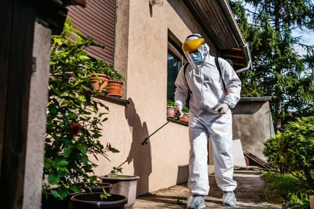 Best Local Pest Control Services  in Elk Point, SD