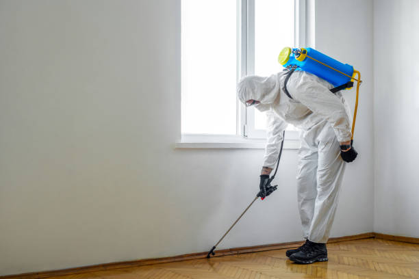 Best Residential Pest Control  in Elk Point, SD