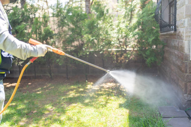 Best Termite Control Services  in Elk Point, SD