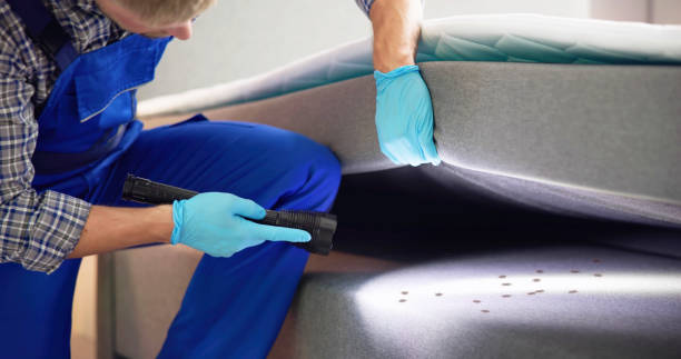Trusted Elk Point, SD Pest Control Experts