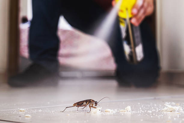 Best Commercial Pest Control Services  in Elk Point, SD